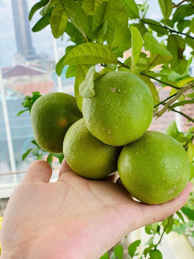 Nana Homestay & Villa 顺化 外观 照片