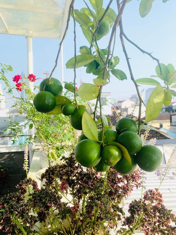 Nana Homestay & Villa 顺化 外观 照片
