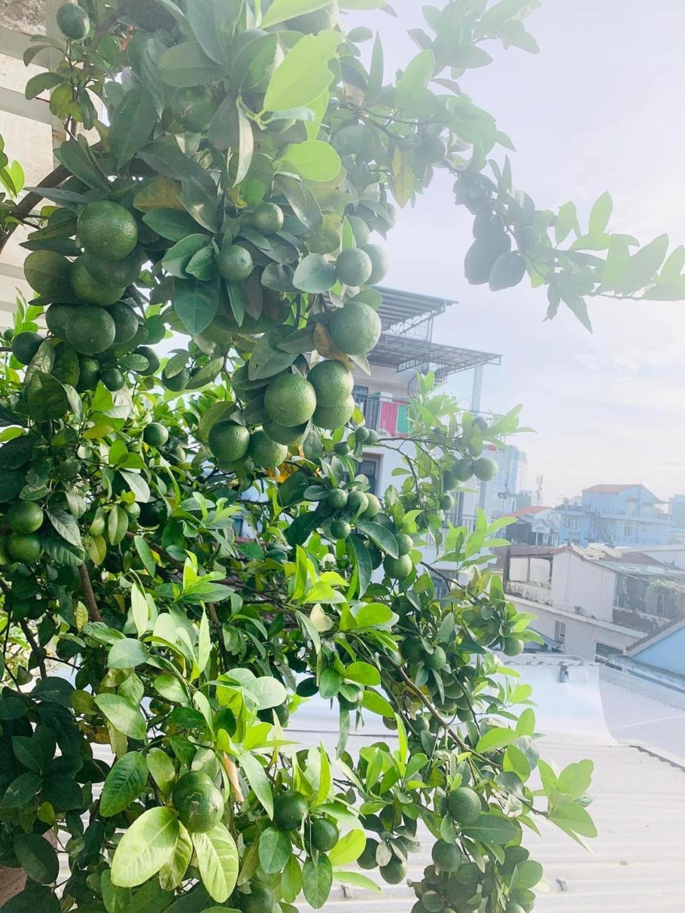 Nana Homestay & Villa 顺化 外观 照片